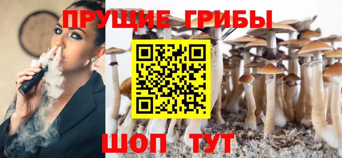 Галлюциногенные грибы Cubensis  Вход с VPN  Георгиевск 