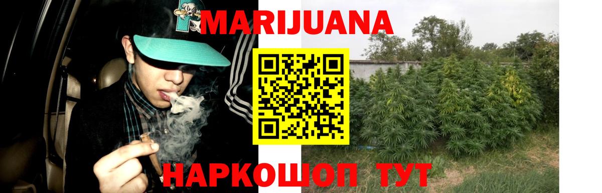 Бошки марихуана OG Kush Георгиевск